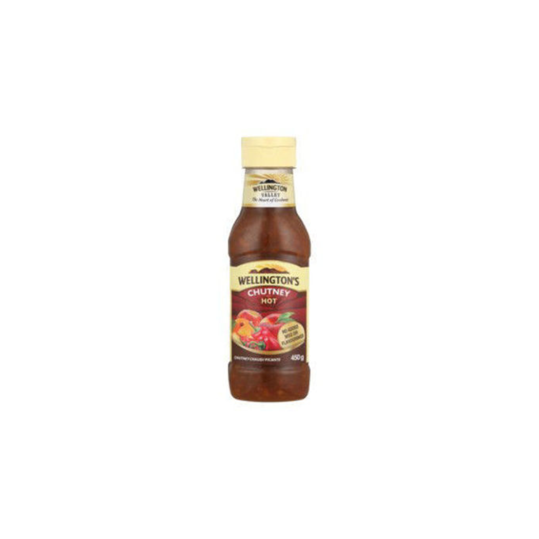 WELLINGTONS Chutney Hot 450G