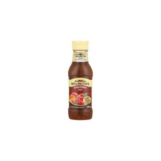 WELLINGTONS Chutney Hot 450G